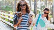 Steven Tyler passeia com seus pets usando seus excêntricos looks em Miami - Fameflynet/The Grosby Group