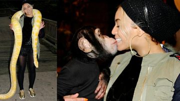 Beyoncé faz festa em zoológico para a filha - Beyoncé/ Tumblr