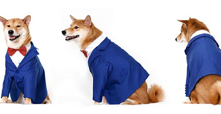 Tumblr inspira coleção de moda para cachorros - Reprodução