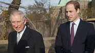 Príncipes William e Charles gravam campanha contra comércio ilegal de animais - Getty Images