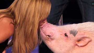 Heidi Klum beija porco na boca durante programa de TV - YouTube/Reprodução