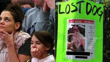Suri Cruise perde cachorro e paga recompensa de US$ 1 mil - Getty Images e TMZ/Reprodução