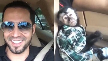 Latino mostra passeio de carro com o macaco Twelves: "Grande companheiro" - Instagram/Reprodução