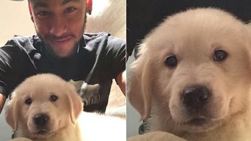 Neymar com seu novo cachorro, Poker - Reprodução / Instagram