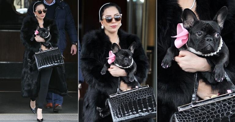 Lady Gaga e Asia, seu cachorro, usam colares de pérolas durante passeio em NY - Foto-montagem/ AKM-GSI Splash News