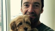 Hugh Jackman ganha cachorro - Reprodução/Instagram