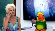 Ana Maria Braga chora ao relembrar morte de Belinha - TV Globo/Reprodução