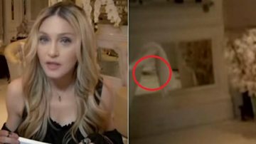 Rato faz aparição surpresa em casa de Madonna - YouTube/Reprodução