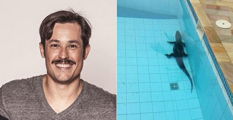 Roger Gobeth encontra jacaré na piscina de seu prédio - Instagram/Reprodução