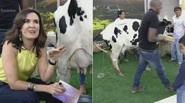 Vaca faz xixi no palco do Encontro e Fátima brinca com situação - TV Globo/Reprodução