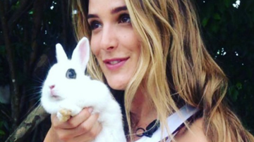 Rafa Brittes posta foto abraçada com um minicoelho - Reprodução Instagram