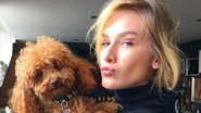 Em Londres, Fiorella Mattheis posa com cachorrinho - Reprodução / Instagram