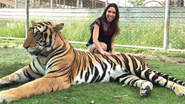 Patricia Abravanel posa ao lado de tigre - Reprodução/Instagram