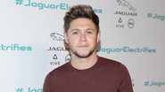 Niall Horan - Getty Images