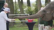 Rainha Elizabeth alimenta elefantes em Bedfordshire - Getty Images