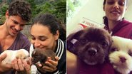 José Loreto apresenta os seus novos cachorrinhos - Reprodução / Instagram