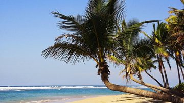 Punta Cana - Shutterstock