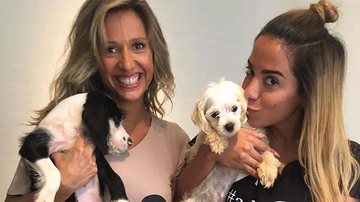 Anitta adota cães resgatados das ruas por Luisa Mell - Reprodução