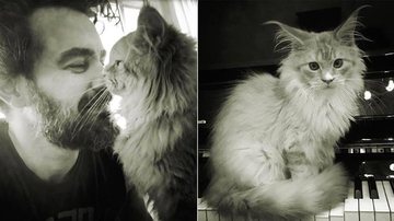 Carmo Della Vecchia lamenta morte do gato - Reprodução/Instagram