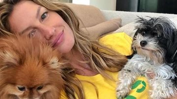 Gisele Bündchen torcendo para o Brasil - Reprodução / Instagram