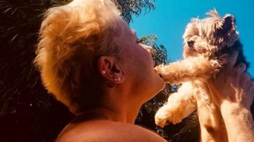 Xuxa e seu cachorro, Dudu - Instagram/Reprodução