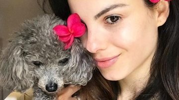 Sthefany Brito emociona ao lamentar morte de sua cachorrinha - Reprodução/Instagram