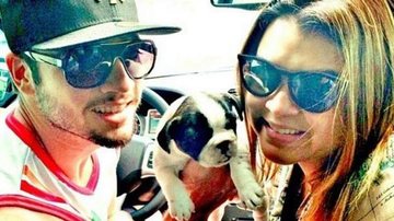 Morre cachorrinho Gucci - Reprodução / Instagram