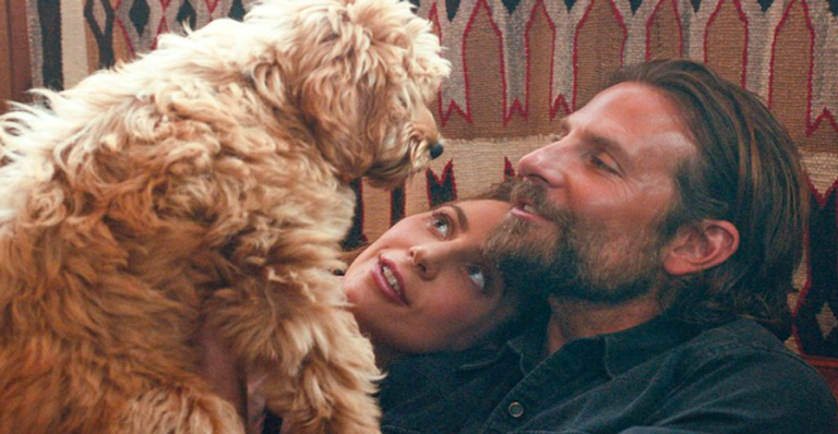 Bradley Cooper contracenou com seu cãozinho Charlie - Divulgação