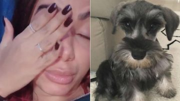 Anitta e seu cachorrinho - Reprodução Instagram