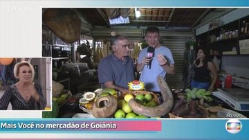 Apresentadora caiu na gargalhada com brincadeira - Reprodução/TV Globo