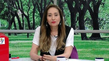 Sônia Abrão fala de vida pessoal - Reprodução/Rede TV!