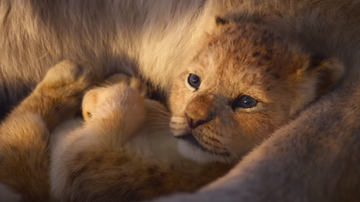 Disney cria companha beneficente inspirada em “O Rei Leão” - Foto/Reprodução Trailer 'O Rei Leão'