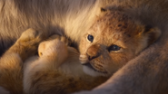 Disney cria companha beneficente inspirada em “O Rei Leão” - Foto/Reprodução Trailer 'O Rei Leão'