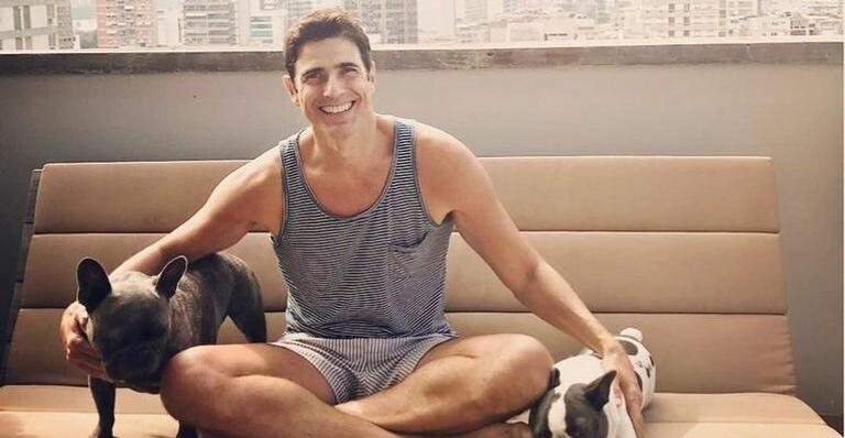 Reynaldo Gianecchini com seus cachorros - Reprodução/Instagram