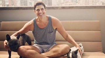 Reynaldo Gianecchini com seus cachorros - Reprodução/Instagram