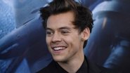 Harry Styles desabafa sobre sua sexualidade em entrevista - Foto/Destaque Getty Images