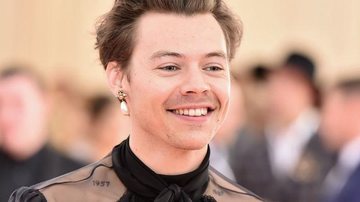 Harry Styles - Theo Wargo/Getty Images