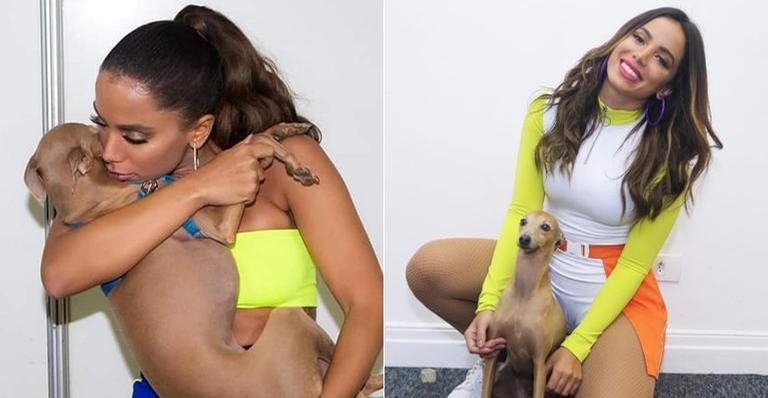Anitta posa com o cachorro Plínio e encanta - Manuela Scarpa/BrazilNews
