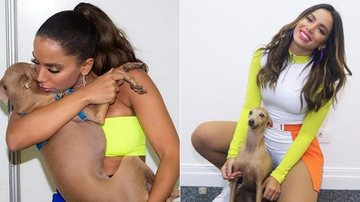 Anitta posa com o cachorro Plínio e encanta - Manuela Scarpa/BrazilNews