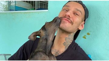 Lucas Lucco adota cachorrinha que perdeu uma patinha - Instagram