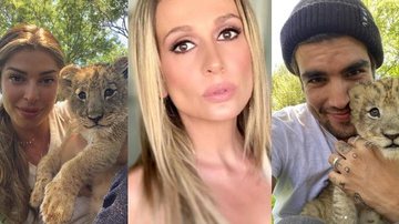 Luisa Mell detona Grazi e Caio por fotos com animais - Reprodução/Instagram