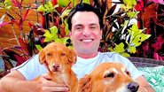 Rodrigo Lombardi surge rodeado de cachorros e encanta - Divulgação/Instagram