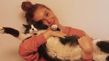 Em quarentena, Marina Ruy Barbosa revela que não desgruda dos gatinhos: ''Agarrada com meus bichos'' - Instagram