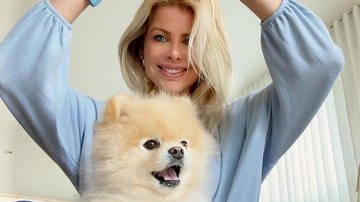Karina Bacchi se derrete por cãozinho em post na web - Instagram