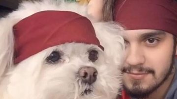 Luan Santana emociona seus seguidores ao compartilhar linda mensagem de despedida para seu cachorro - Instagram