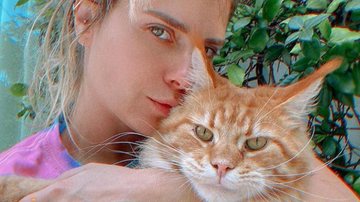 Carolina Dieckmann exibe gatinho em lugares inusitados e diverte fãs - Instagram