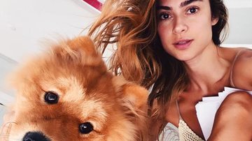 Thaila Ayala surge em momento fofo com cachorro - Reprodução/Instagram
