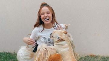 Larissa Manoela encanta ao exibir a fofura de seus cachorrinhos em novos cliques - Instagram