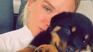 Fiorella Mattheis declara seu amor por cachorrinha de estimação: ''Grude doce'' - Instagram