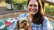 Susana Vieira encanta ao mostrar seus cachorrinhos de estimação combinando roupinhas - Reprodução/Instagram
